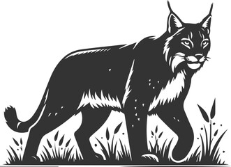 Silhouette of a lynx animal vector
