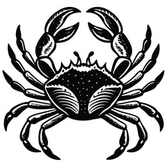 Adobe Illustrator ArtCrab Icon on Checkerboard Transparent Backgroundwork