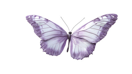 Realistic 3D Render of a Delicate Lavender Butterfly � Professional Stock Image