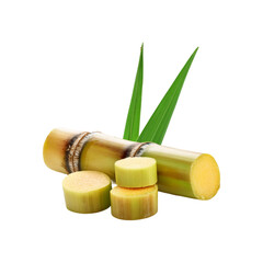 Fresh sugarcane with green leaf on transparent background