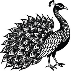 Adobe Illustrator ArtworkPeacock Vector Silhouette, Peacock Illustration, Peacock Art Hand Drawn Line Art, Black and White Peacock