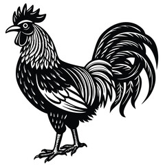 Adobe IllustratorVector illustration of rooster isolated on white background. For kids coloring book. Artwork