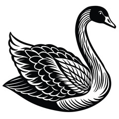 Fototapeta premium Adobe IllustrIllustration of five black swans in different positionsator Artwork