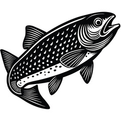 Adobe IlFreshwater Fish - Bass, Catfish, Trout, Salmon, Pikelustrator Artwork