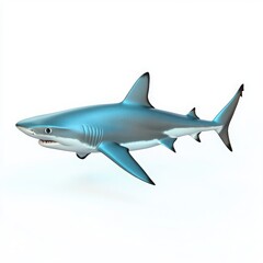 Fototapeta premium An illustration of a shark swimming isolated on white background