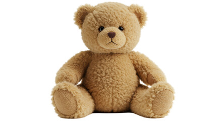 Isolated Teddy Bear