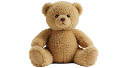 Isolated Teddy Bear