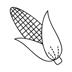 A Simple Line Drawing of an Ear of Corn with Husk