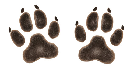 Isolated Paw Prints