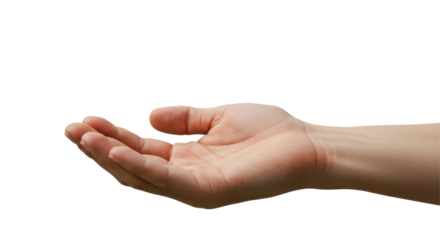 Isolated Open Hand Offering or Receiving