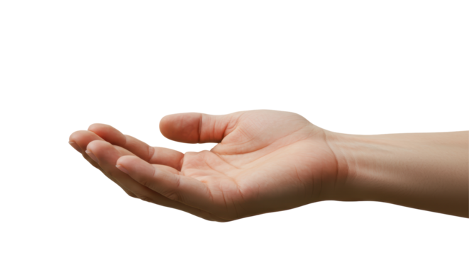 Isolated Open Hand Offering or Receiving