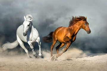 Couple horse run