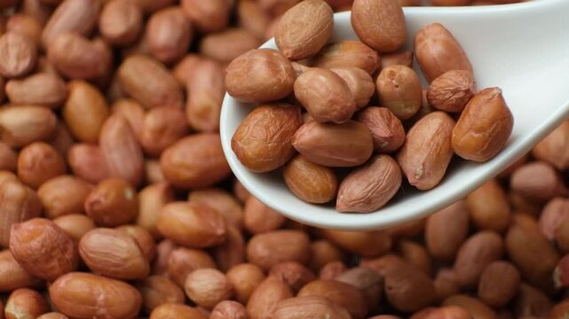Raw peanut kernels in brown peel in a spoon close-up.