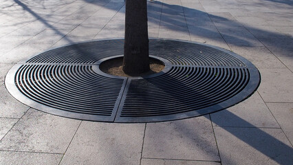Circular tree grate surrounds tree on pedestrian sidewalk, allowing water infiltration while...