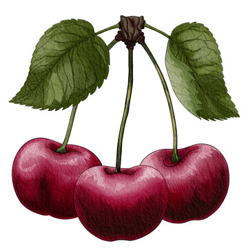 Cherries01