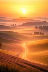 Obraz premium sunset in the field