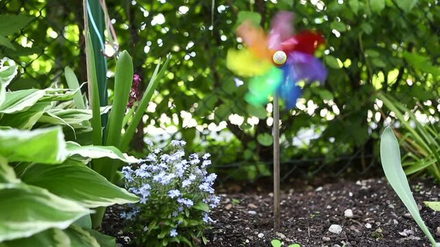 Colorful windwheel in the garden, high definition clip