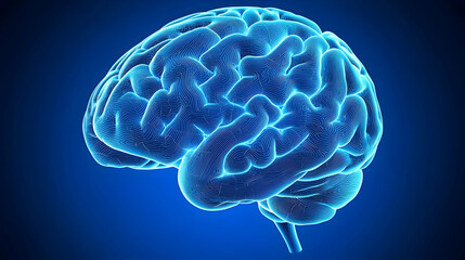 Fototapeta premium Digital Representation Of A Human Brain