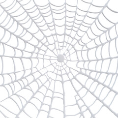 Obraz premium Intricate White Spiderweb Design on a Plain Background PNG file isolated on transparent background cut out, clipping path, social media, HD photo, close up, high quality, web, banner, poster.