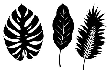 set of tropical leaf silhouette vector illustration © tanvir