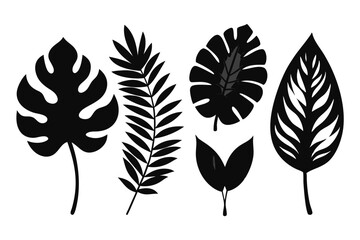 set of tropical leaf silhouette vector illustration © tanvir