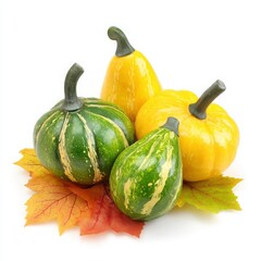 Colorful Collection of Decorative Gourds and Autumn Leaves Arrangement