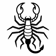 Scorpion isolated on white background
