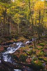 Autumn colors in Quebec