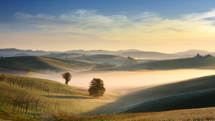 Obraz premium Misty hills under clear pastel sky with early morning light