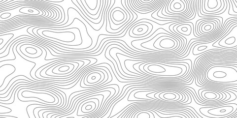 Abstract topographic map background. Topographic map lines contour background. 
