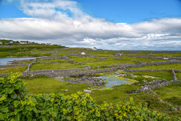 Obraz premium Landschaft auf der Aran Insel Inis Oirr in Irland