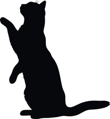 Silhouette Of Cat Standing On Hind Legs Reaching Upwards Isolated On White Background