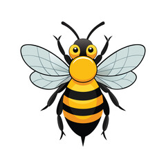 bumblebee on white background