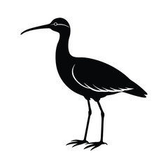 Whimbrel Silhouette Vector Art Design and Black And White Whimbrel Bird Vector Illustration