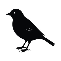Yellowhammer Silhouette Vector Art Design and Black And White Yellowhammer Bird Vector Illustration
