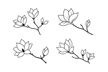 A set of magnolia flower line art vector illustration