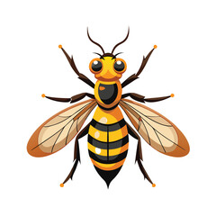 hoverfly insect isolated on white