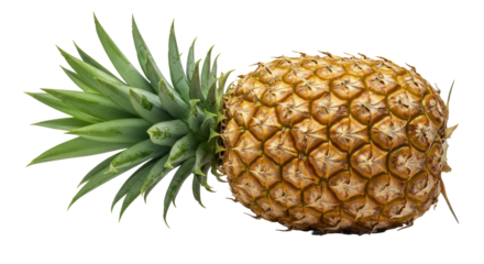 Isolated pineapple