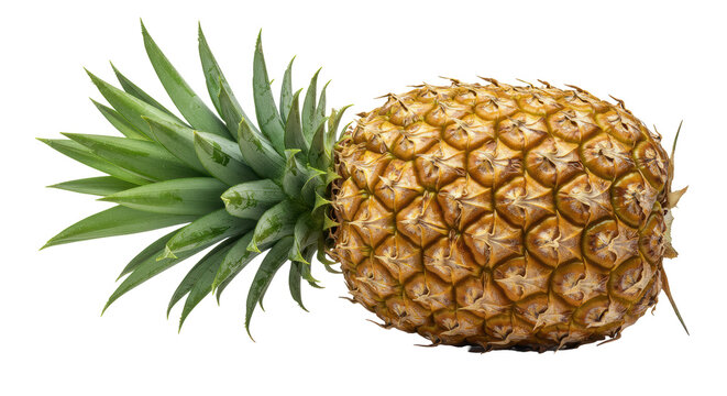 Isolated pineapple