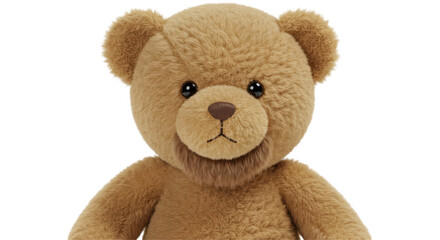 Isolated Teddy Bear