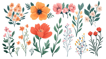 Floral Elements Illustration on White Background - Professional Design Resource