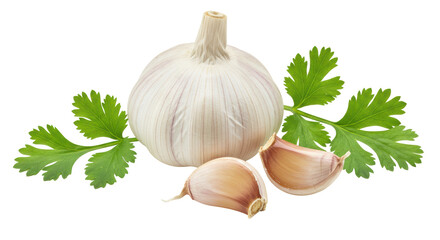 Isolated Garlic with Parsley