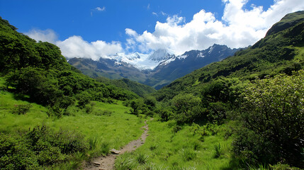 Mountain Valley Landscape With Hiking Path