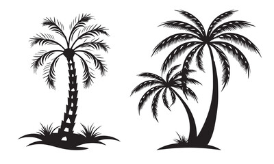 Fototapeta premium palm tree silhouettes