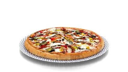 non veg pizza in plate