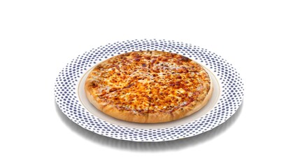 non veg pizza in plate