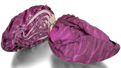 red pointed cabbage on white background