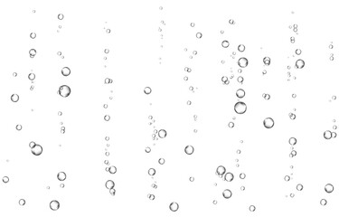 Oxygen air bubbles  flow  in water on white  background.