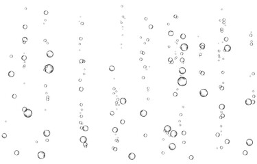Oxygen air bubbles  flow  in water on white  background.