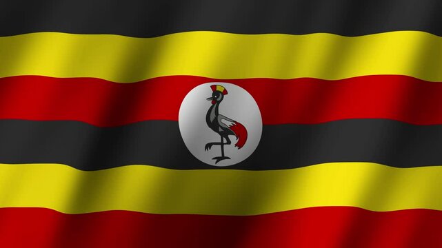Exploring the vibrant colors and symbolism of the Uganda flag at a cultural celebration
